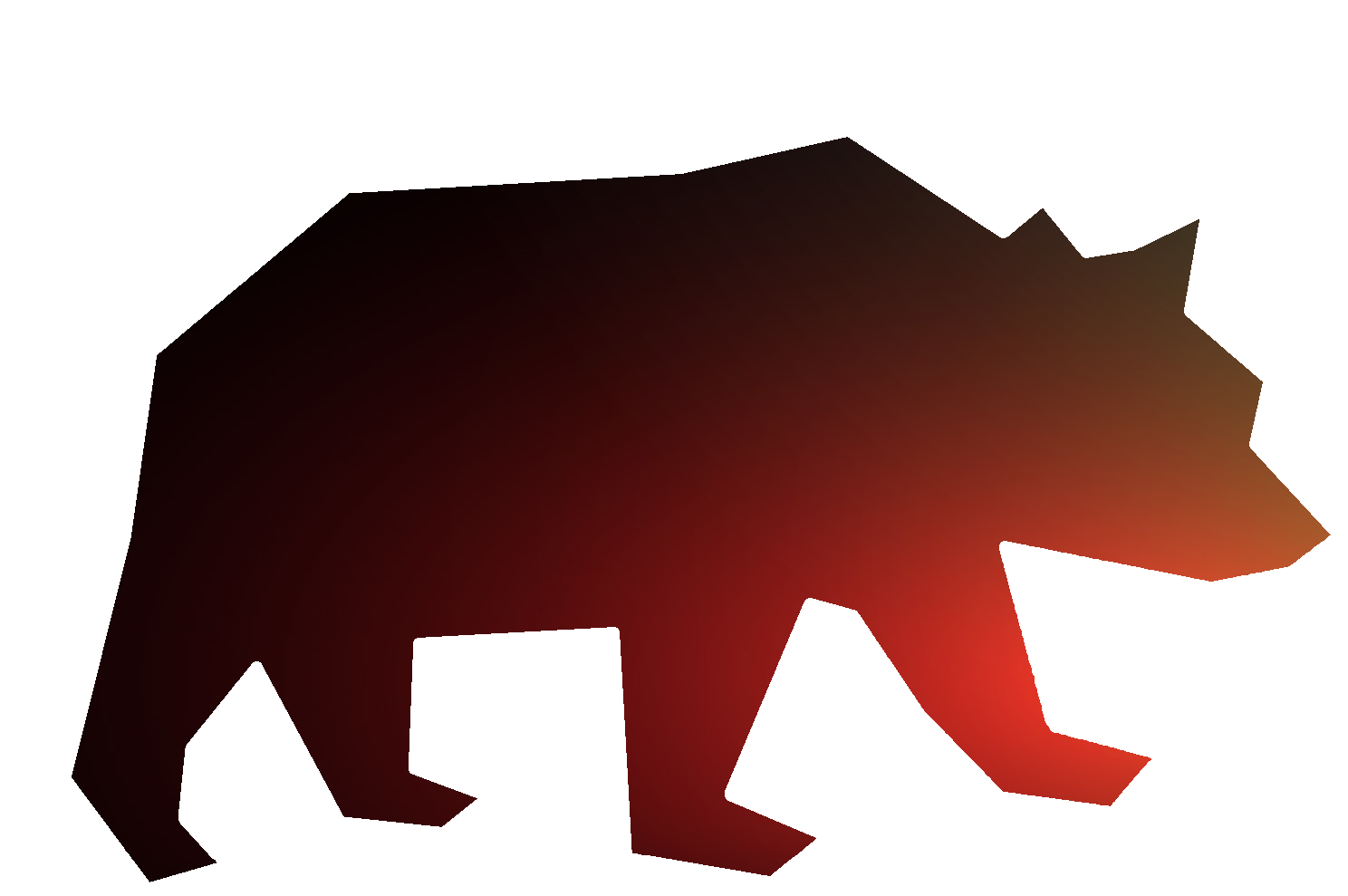 image of bear